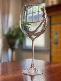 Vino2 Stemmed Glasses